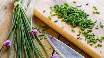 Аллиум (лук) сибирский